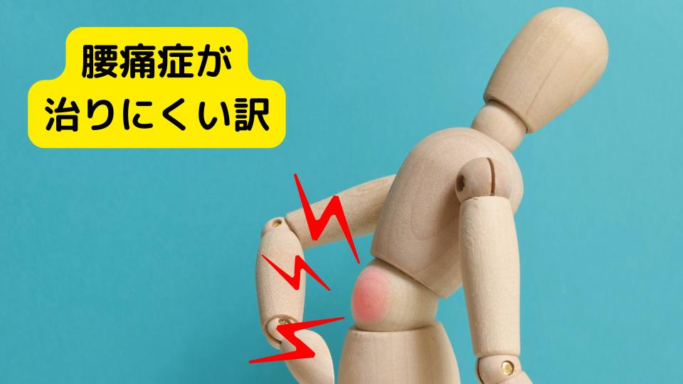 症状の説明