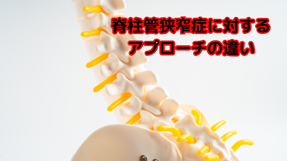 症状の説明